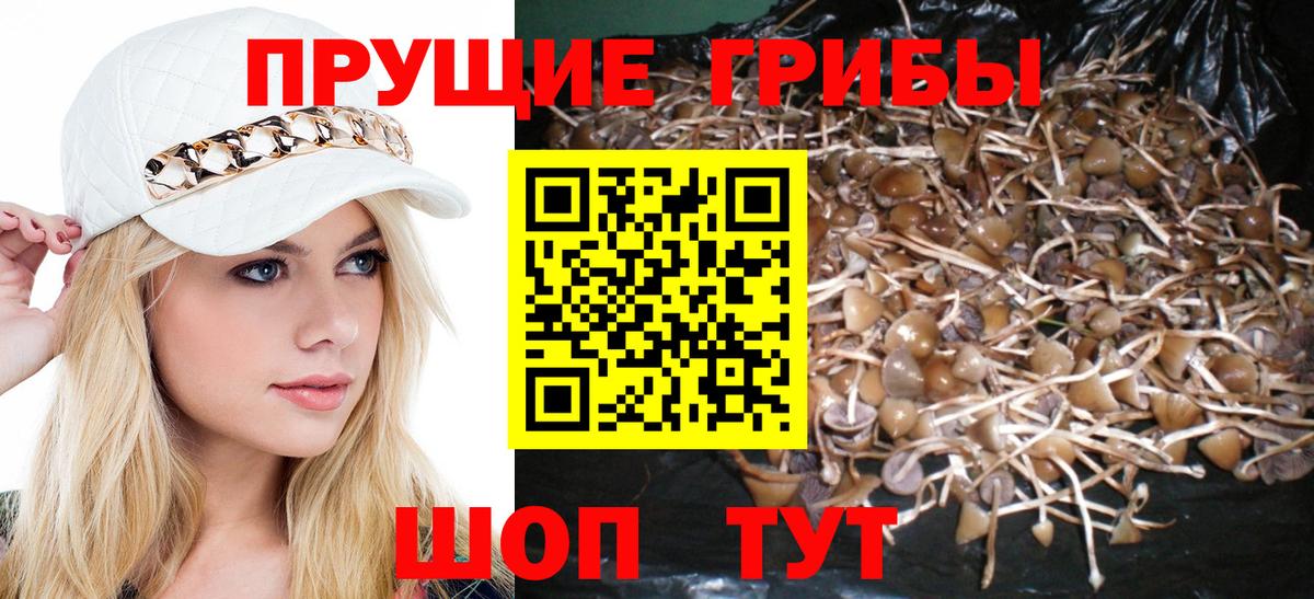 ГАШ  МДМА  Кокаин  Мефедрон кристаллы  Новоалександровск  Вход с VPN  Каннабис 