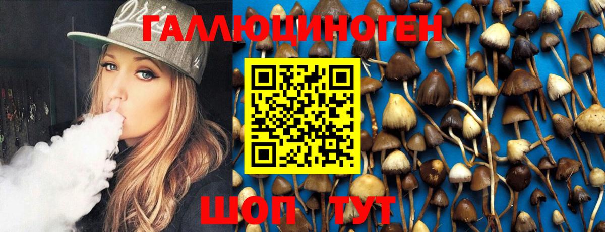 Новоалександровск  Галлюциногенные грибы MAGIC MUSHROOMS  купить наркоту  Галлюциногенные грибы ЛСД  Вход с VPN 